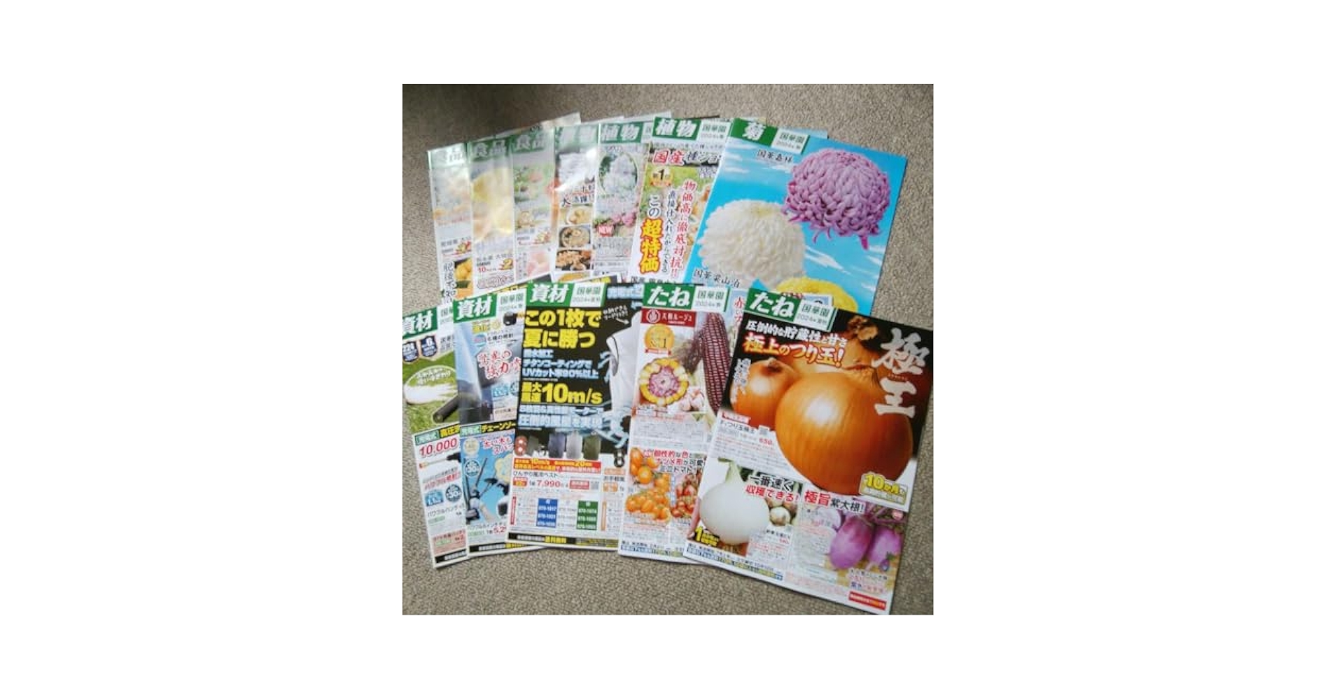 QDT2023年12冊、 2024年1月〜12号 合計24冊セット QDT2023年12冊、 2024年1月〜12号 合計24冊セット